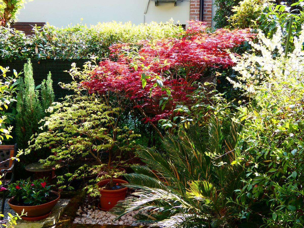 Garden Sweet House Desenzano Appartement Desenzano del Garda Buitenkant foto